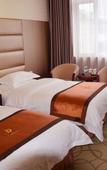 Туры в отель Donghua Hotel Bazhong