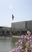 Туры в отель Xingming Lake Jinyan Hotel