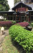 Туры в отель Yangshuo Xingping Our Inn-Near 20 Yuan Background
