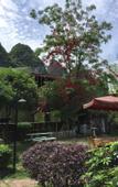 Туры в отель Yangshuo Xingping Our Inn-Near 20 Yuan Background