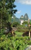 Туры в отель Yangshuo Xingping Our Inn-Near 20 Yuan Background