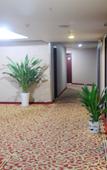 Туры в отель Mechar Green Hotel (Mingshi Store, Nanyuan West Road, Zhangjiagang)