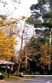 Туры в отель Golden Dragon Holiday Hotel