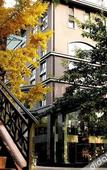 Туры в отель Golden Dragon Holiday Hotel