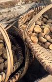 Туры в отель Golden Dragon Holiday Hotel