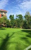 Туры в отель Golden Dragon Holiday Hotel