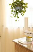 Туры в отель Homeinn · neo (Qufu Jingxuan Middle Road Sankong)