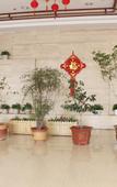 Туры в отель Laiyin Haosheng Business Hotel