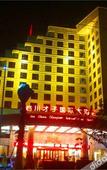 Туры в отель Fuzhou Linchuan Talent International Hotel