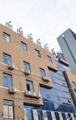 Туры в отель 100 Inn Cixi Bus West Station