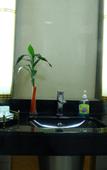 Туры в отель Hao Fu Hua Hotel