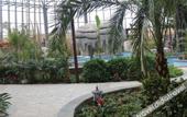 Туры в отель Ruige Hot Spring Hotel