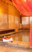 Туры в отель Ruige Hot Spring Hotel