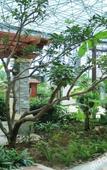 Туры в отель Ruige Hot Spring Hotel