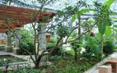 Туры в отель Ruige Hot Spring Hotel