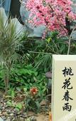 Туры в отель Ruige Hot Spring Hotel