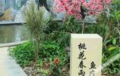 Туры в отель Ruige Hot Spring Hotel