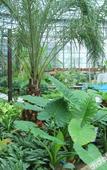 Туры в отель Ruige Hot Spring Hotel