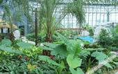 Туры в отель Ruige Hot Spring Hotel