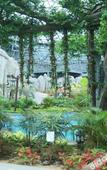 Туры в отель Ruige Hot Spring Hotel