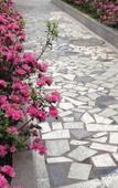 Туры в отель Lindu Hotel
