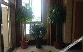 Туры в отель Fenghuang Huating Hostel