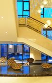 Туры в отель Yangzhong Juntai Hotel