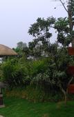 Туры в отель Shelari-gu Hotspring Hotel