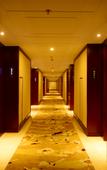 Туры в отель Vienna Classic Hotel (Hangzhou Linan)