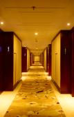 Туры в отель Vienna Classic Hotel (Hangzhou Linan)