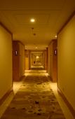 Туры в отель Vienna Classic Hotel (Hangzhou Linan)