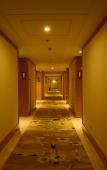 Туры в отель Vienna Classic Hotel (Hangzhou Linan)