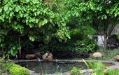 Туры в отель Banyueshan Spa Hotel
