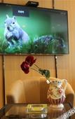 Туры в отель Haiyan Yiwanjia Ecological Hotel