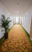 Туры в отель Sijia Hotel