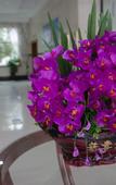 Туры в отель Sijia Hotel