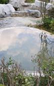 Туры в отель BJG Swan Lake Hot Spring Hotel