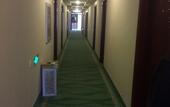Туры в отель Shell Hotel (Beijing Changping District Chengnan Street Nanhaozhuang Village)