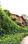 Туры в отель Shiquan Village Wooden House Hotel