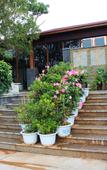Туры в отель Shiquan Village Wooden House Hotel
