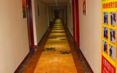 Туры в отель Super 8 Collection Hotel (Xuzhou Suining Qingnian Road)
