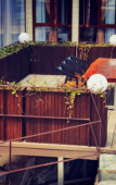 Туры в отель Zhujiuju Hostel