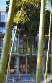 Туры в отель Zhujiuju Hostel