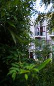 Туры в отель Zhujiuju Hostel