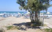 Туры в отель Leonidas Rooms & Studios