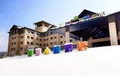 Туры в отель Yinrun Town  King  Hotel, Anji