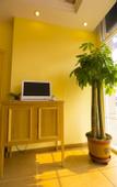 Туры в отель Homeinn Hotel (Anqiu Weixu South Road Taihua City)