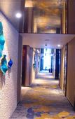 Туры в отель Yunlong Hotel (Wenling Yintai Branch)