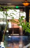 Туры в отель Splendid Clubhouse