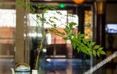 Туры в отель Splendid Clubhouse